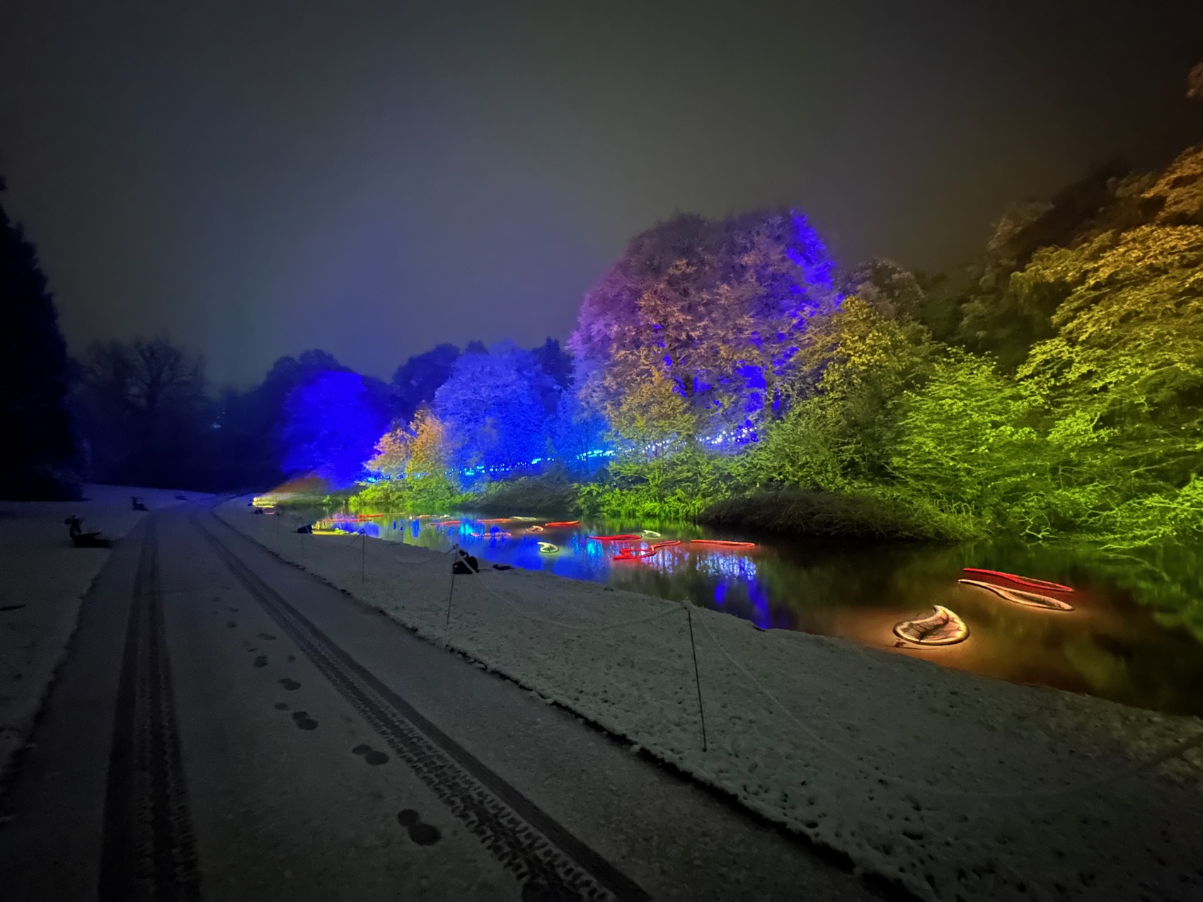 Trees uplit in blue, purple and green reflected in a river beside a snow-covered path at night